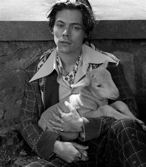 harry styles gucci shoot lamb|harry styles gucci.